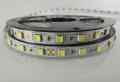 TAŚMA 5050 300 LED 12V BIAŁA ZIMNA 14,4W ROLKA 5 M