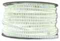 TAŚMA 120 LED 2835 230V 220V BIAŁA ZIMNA 1MB 9,6W
