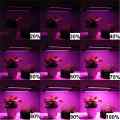 LAMPA LED DO UPRAWY ROŚLIN GROWBOX POTRÓJNA 30W