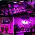 LAMPA LED DO UPRAWY ROŚLIN GROWBOX POTRÓJNA 30W