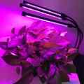 LAMPA LED DO UPRAWY ROŚLIN GROWBOX POTRÓJNA 30W