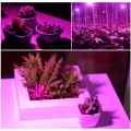 LAMPA LED DO UPRAWY ROŚLIN GROWBOX PODWÓJNA 20W