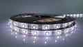 TAŚMA 2835 300 LED 12V BIAŁA NEUTRALNA IP65 5 MB
