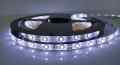 TAŚMA 2835 300 LED 12V BIAŁA ZIMNA 4,8W IP65 5 MB