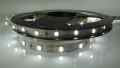 TAŚMA 2835 300 LED 12V BIAŁA ZIMNA 4,8W ROLKA 5 MB