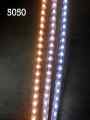TAŚMA LED 5050 230V 220V BIAŁA ZIMNA 1MB 3 CHIP