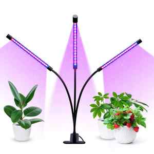 LAMPA LED DO UPRAWY ROŚLIN GROWBOX POTRÓJNA 30W