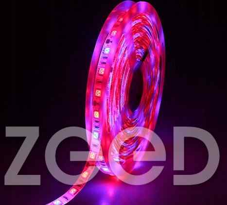 TAŚMA LED GROW DO UPRAWY ROŚLIN 5050 12V IP65 5 MB