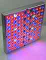 PANEL LED DO UPRAWY ROŚLIN GROWBOX 30W 144 szt LED