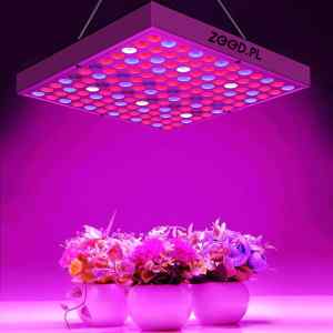 PANEL LED DO UPRAWY ROŚLIN GROWBOX 30W 144 szt LED