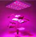 PANEL LED DO UPRAWY ROŚLIN GROWBOX 30W 144 szt LED