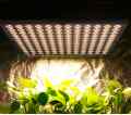 PANEL 144 LED FULL SPECTRUM DO UPRAWY ROŚLIN 30W