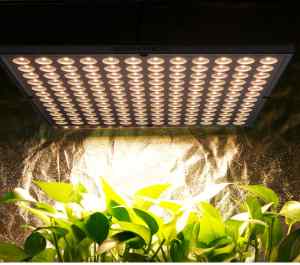 PANEL 144 LED FULL SPECTRUM DO UPRAWY ROŚLIN 30W