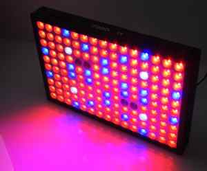 PANEL LAMPA LED DO UPRAWY ROŚLIN 600 W PRO CZARNY