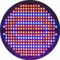 ŻARÓWKA LED GROW LIGHT DO UPRAWY ROŚLIN 20W E27 300 LED