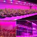 TAŚMA LED GROW DO UPRAWY ROŚLIN 5050 12V IP65 5 MB
