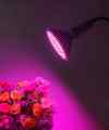ŻARÓWKA LED GROW LIGHT DO UPRAWY ROŚLIN 20W CZARNA