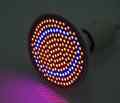 ŻARÓWKA LED GROW LIGHT DO UPRAWY ROŚLIN 20W CZARNA