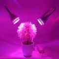 LAMPA LED DO UPRAWY ROŚLIN GROWBOX PODWÓJNA 10W