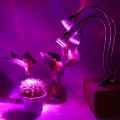 LAMPA LED DO UPRAWY ROŚLIN GROWBOX POTRÓJNA 15W