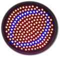 ZESTAW ŻARÓWKA 3X 20W LED GROW KOLOR CZARNA STATYW