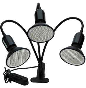 ZESTAW ŻARÓWKA 3X 20W LED GROW KOLOR CZARNA STATYW