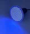 ŻARÓWKA LED GROW LIGHT DO UPRAWY ROŚLIN 20W BARWA NIEBIESKA