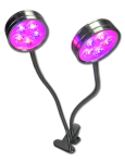 LAMPA LED DO ROŚLIN GROWBOX PODWÓJNA 10W Z KLIPSEM PŁASKA