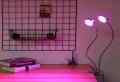 LAMPA LED DO ROŚLIN GROWBOX PODWÓJNA 10W Z KLIPSEM PŁASKA