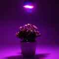 ŻARÓWKA LED GROW LIGHT DO UPRAWY ROŚLIN 40W E27