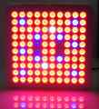 PANEL LAMPA LED DO UPRAWY ROŚLIN 300W PROFESJONALNY BIAŁY