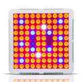 PANEL LAMPA LED DO UPRAWY ROŚLIN 300W PROFESJONALNY BIAŁY