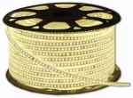  TAŚMA  2835 120 LED 230V 220V BIAŁA NEUTRALNA