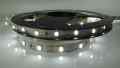  TAŚMA LED SMD 2835 12V BIAŁA ZIMNA ROLKA 5MB IP20 60 LED/MB
