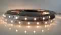  TAŚMA LED SMD 2835 12V  BIAŁA CIEPŁA ROLKA 5MB IP20 60 LED/MB