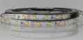  TAŚMA LED SMD 2835 12V  BIAŁA CIEPŁA ROLKA 5MB IP20 60 LED/MB