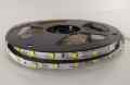  TAŚMA LED SMD 2835 12V  BIAŁA NEUTRALNA ROLKA 5MB IP20 60 LED/MB