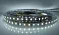  TAŚMA LED SMD 2835 12V BIAŁA ZIMNA ROLKA 5MB IP20 120 LED/MB