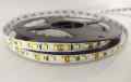  TAŚMA LED SMD 2835 12V BIAŁA ZIMNA ROLKA 5MB IP20 120 LED/MB