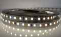  TAŚMA LED SMD 2835 12V BIAŁA NEUTRALNA ROLKA 5MB IP20 120 LED/MB