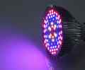 ŻARÓWKA LED GROW LIGHT DO UPRAWY ROŚLIN 50W E27