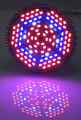 ŻARÓWKA LED GROW LIGHT DO UPRAWY ROŚLIN 80W E27