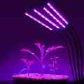 LAMPA LED DO UPRAWY ROŚLIN GROWBOX PODWÓJNA 20W DŁUGIE RAMIĘ