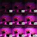 LAMPA LED DO UPRAWY ROŚLIN GROWBOX POTRÓJNA 30W DŁUGIE RAMIĘ