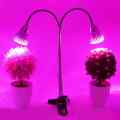 LAMPA LED DO ROŚLIN GROWBOX PODWÓJNA 10W Z KLIPSEM